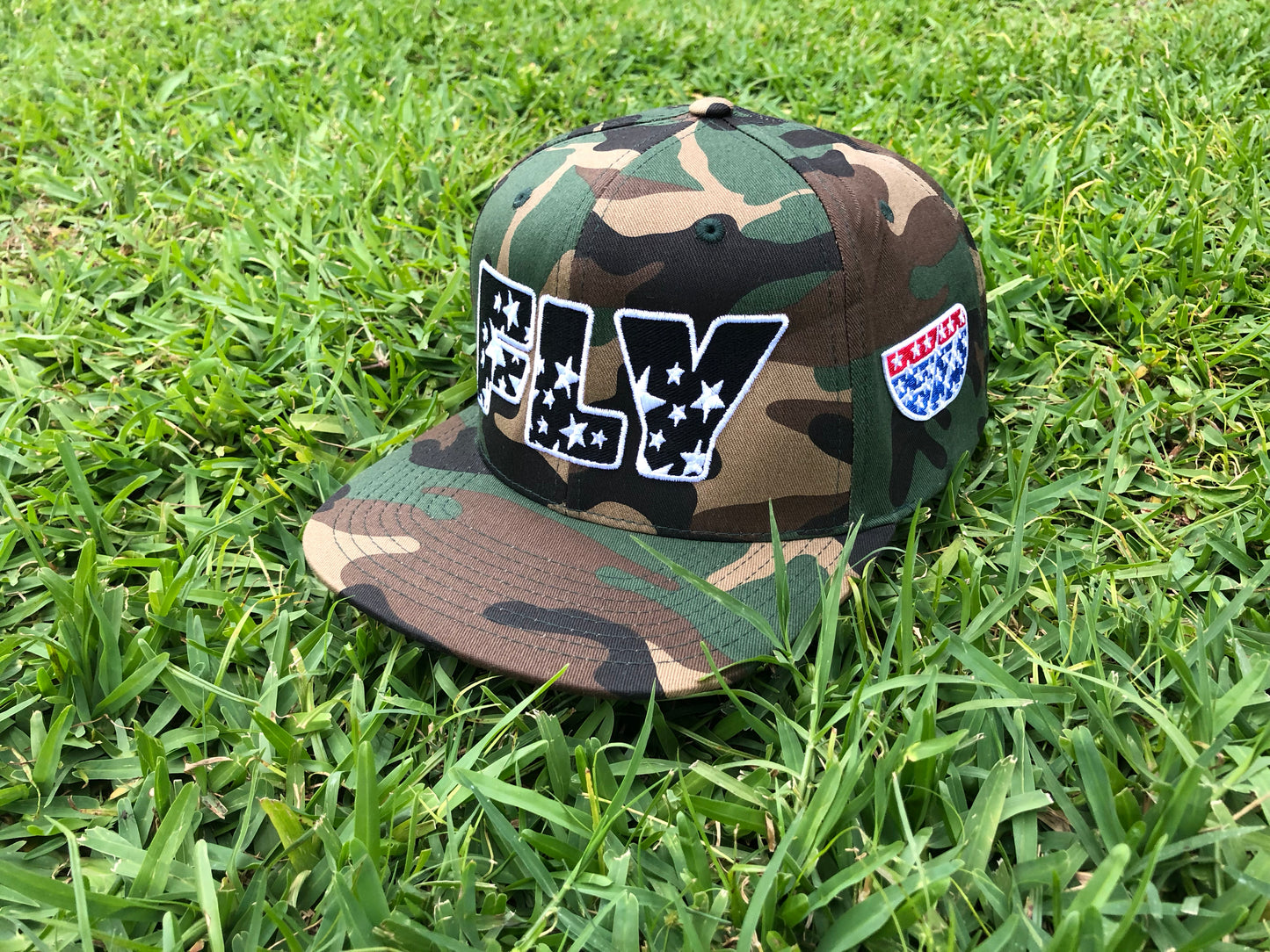 Fly Definition FLY Logo Snapback