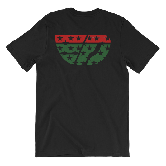Black History Month Fly Definition Classic Star Logo Tee